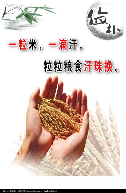 学历证书怎么上传网上不大于300kb